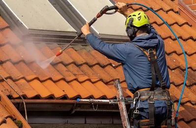Démoussage et hydrofuge de toiture à Domancy